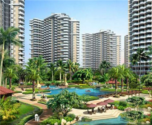 精典泰迪的奶茶铺