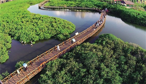 莫夫子化州糖水