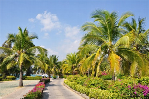 奶茶加盟品牌哪家靠谱加盟流程快，一禾堂奶茶是如何加盟的