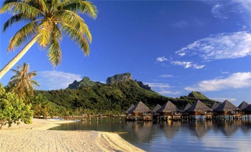 大优然奶茶品牌具有哪些优势