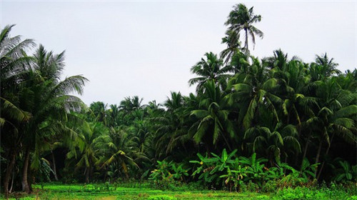 达日县加盟五叔家串串老火锅市场前景如何