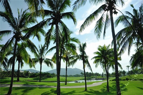 彭大锤煎饼果子的利润怎么样