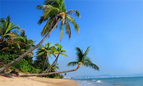 投资创办荣事达自助洗车机怎么样